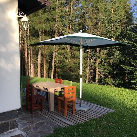 Il Finferlo Villa Bellamonte Eksteriør billede