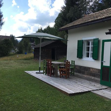 Il Finferlo Villa Bellamonte Eksteriør billede