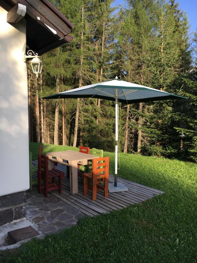 Il Finferlo Villa Bellamonte Eksteriør billede